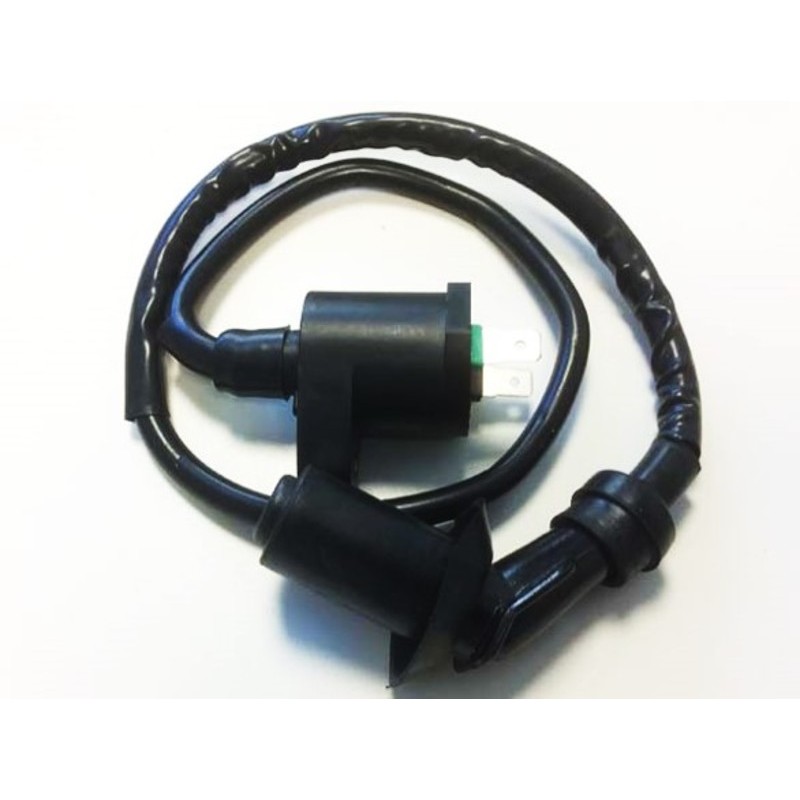 ignition coil, Zhonguy, Baotian