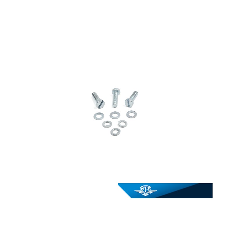 Screwset NTS for statorplate